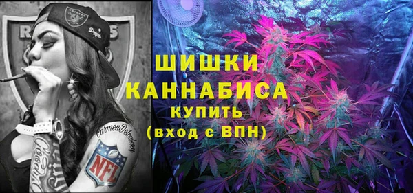 ПСИЛОЦИБИНОВЫЕ ГРИБЫ Михайловка