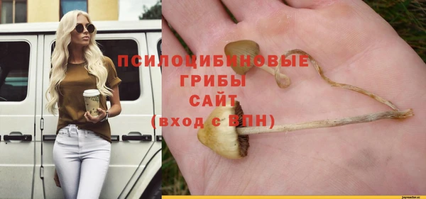 ПСИЛОЦИБИНОВЫЕ ГРИБЫ Михайлов