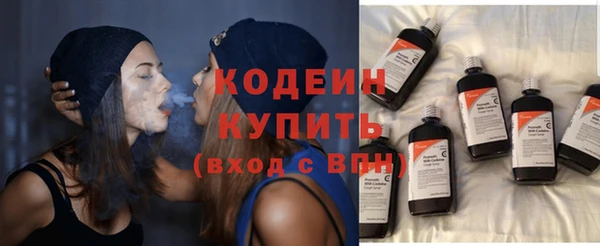ПСИЛОЦИБИНОВЫЕ ГРИБЫ Михайлов