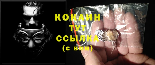ПСИЛОЦИБИНОВЫЕ ГРИБЫ Михайлов