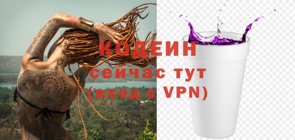 ПСИЛОЦИБИНОВЫЕ ГРИБЫ Михайлов