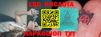 прущие грибы Бийск