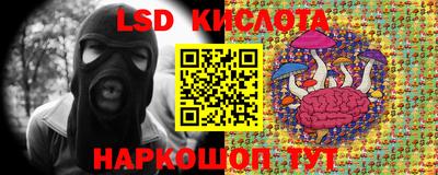прущие грибы Бийск