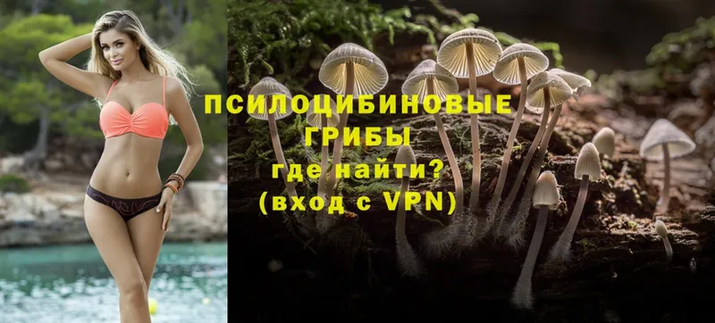 Галлюциногенные грибы Psilocybe  как найти закладки  shop Telegram  Гусь-Хрустальный 