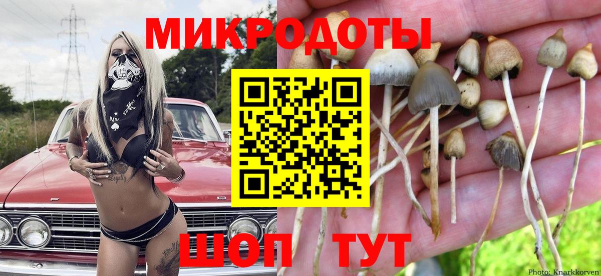 Галлюциногенные грибы мухоморы  дарнет шоп  Гусь-Хрустальный 